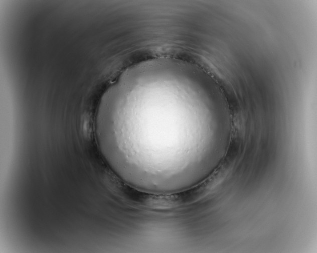 X0000094770671200711301527