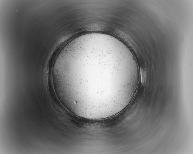 X0000094770675200711301526