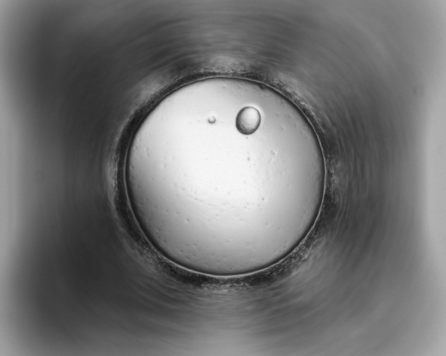 X0000094770679200711301526