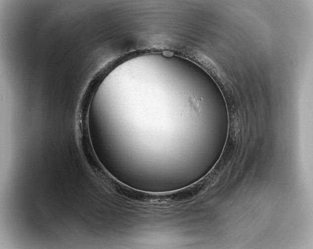 X0000094770680200711301526