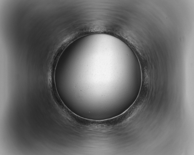 X0000094770681200711301526