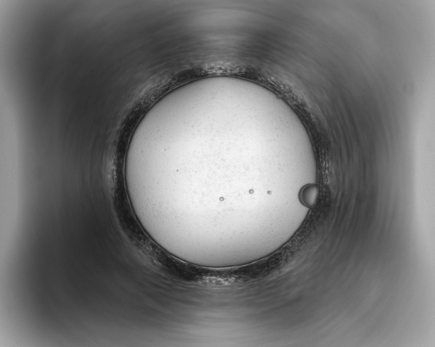 X0000094770690200711301526