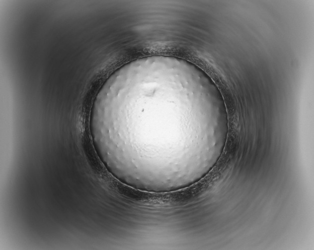 X0000094770691200711301526