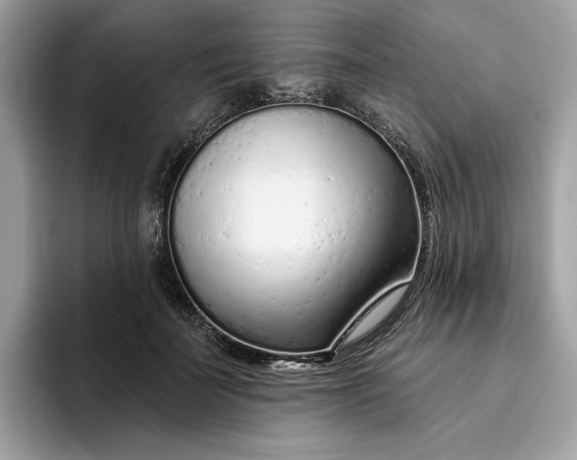 X0000094770699200711301526