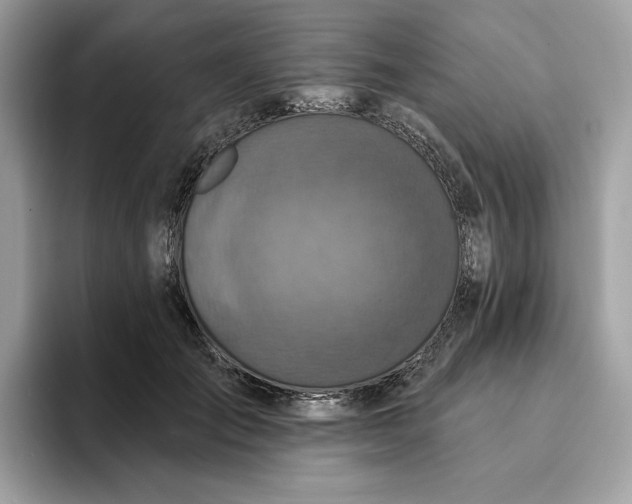 X0000094770701200711301526