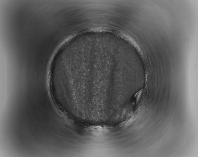 X0000094770724200711301525