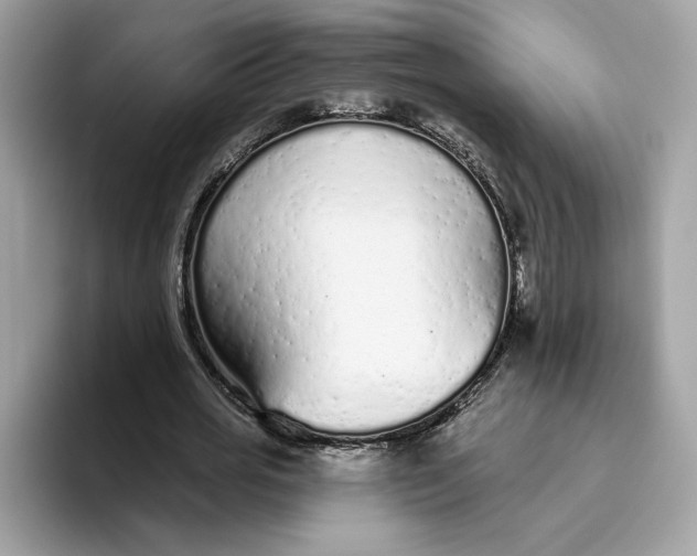 X0000094770725200711301525