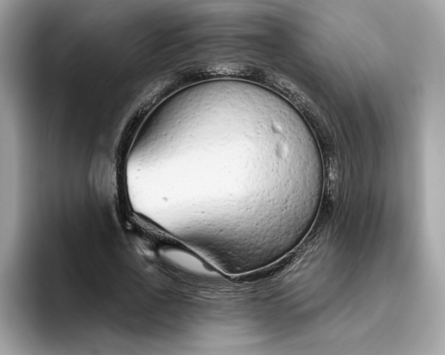 X0000094770734200711301525