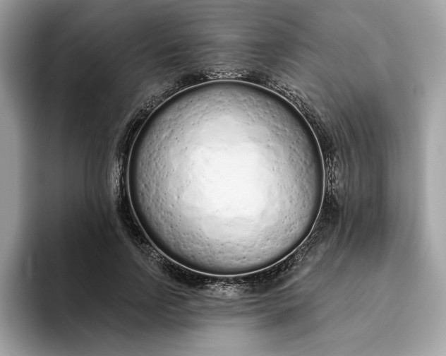 X0000094770742200711301526