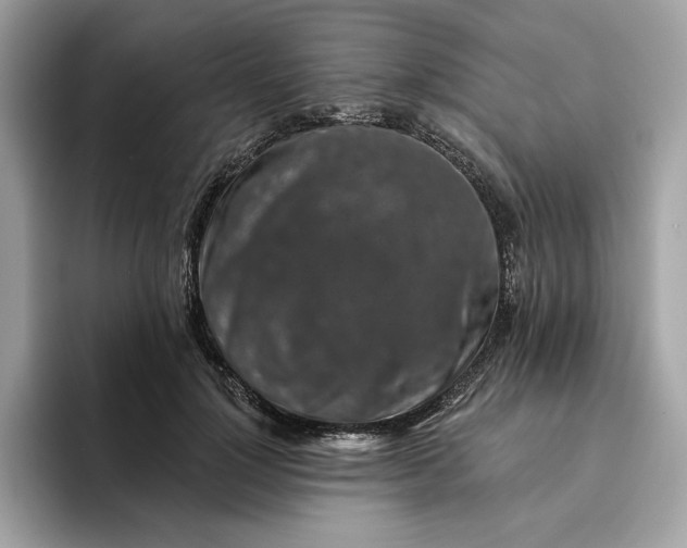 X0000094770748200711301526