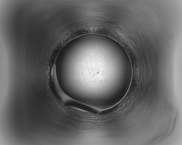 X0000094770750200711301526