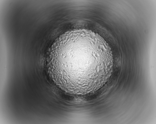 X0000094770753200711301526