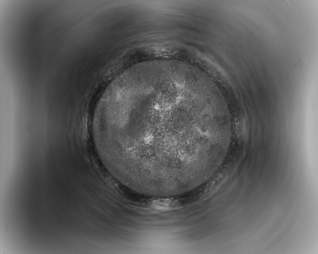 X0000094770757200711301526