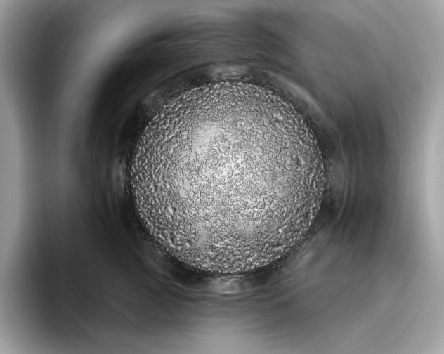 X0000094770761200711301526