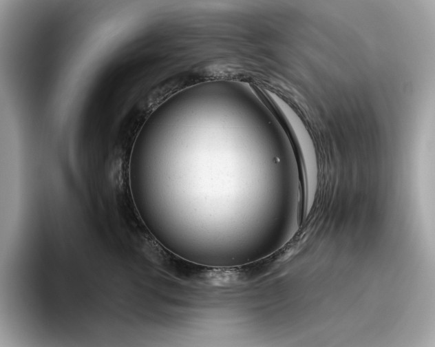 X0000094770762200711301526