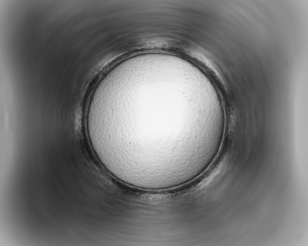 X0000094770778200711301525