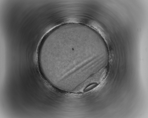 X0000094770779200711301525