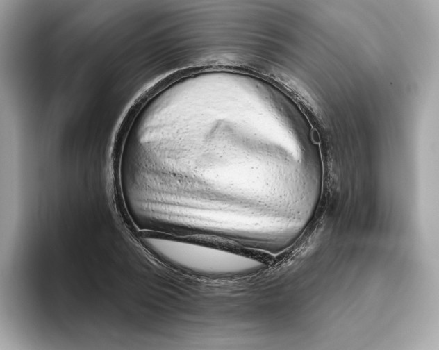 X0000094770784200711301525