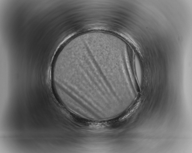 X0000094770790200711301525