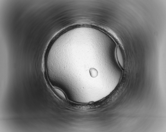 X0000094770791200711301525