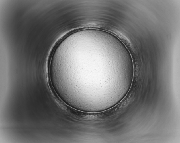 X0000094770792200711301525