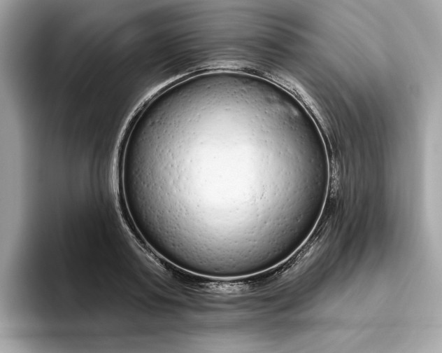 X0000094770795200711301525