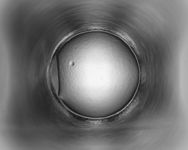 X0000094770798200711301525