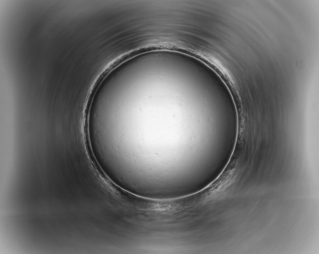 X0000094770799200711301525