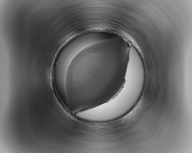 X0000094770802200711301525