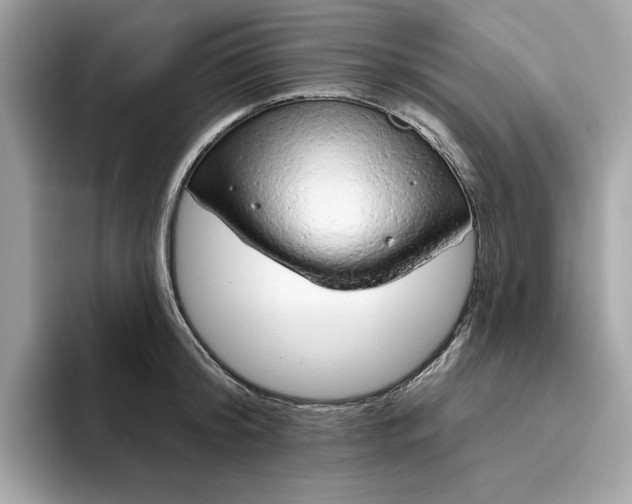 X0000094770804200711301525