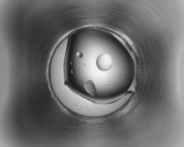 X0000094770807200711301525