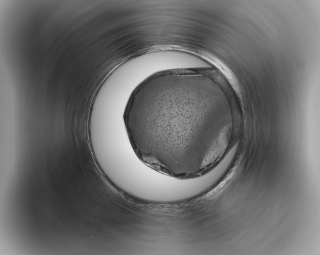 X0000094770809200711301525