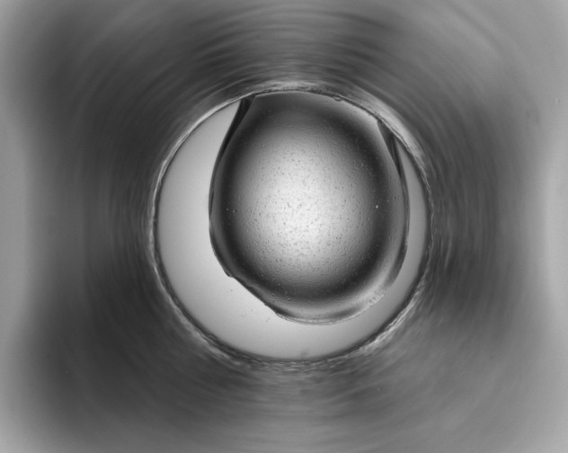 X0000094770810200711301525