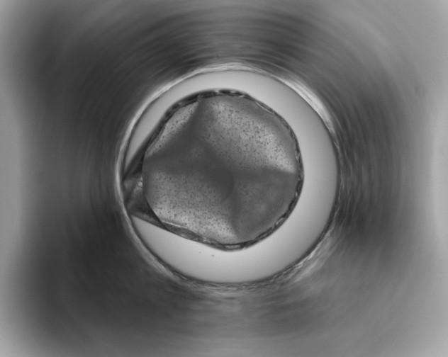 X0000094770813200711301525