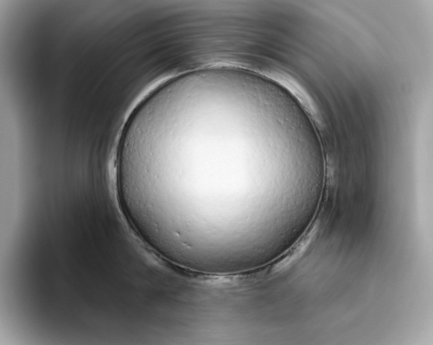 X0000094770814200711301525