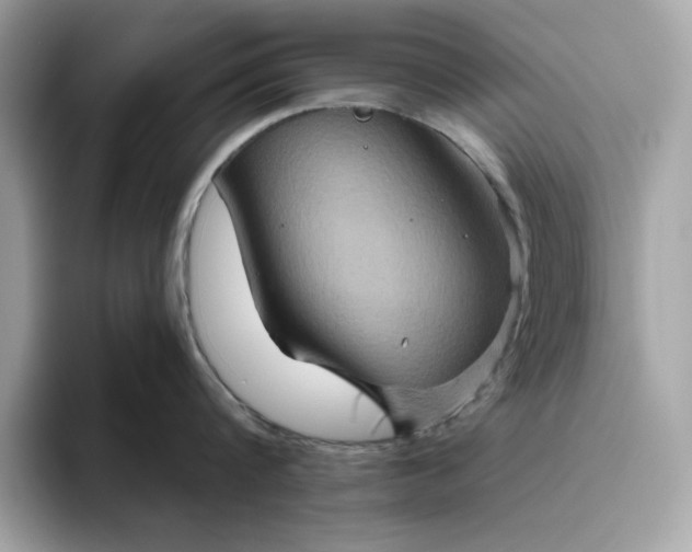 X0000094770816200711301525