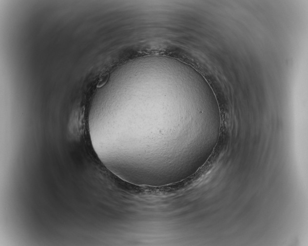 X0000094770818200711301524