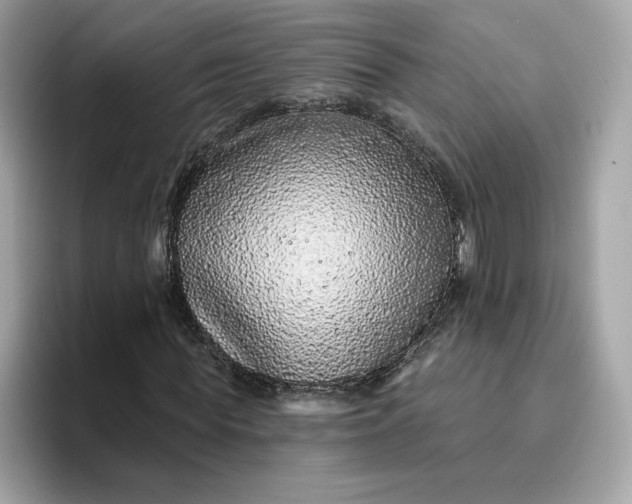 X0000094770819200711301524