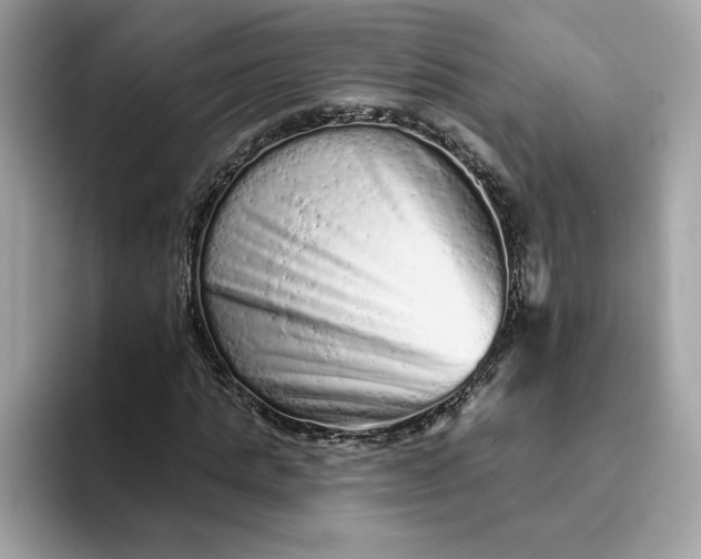 X0000094770821200711301524