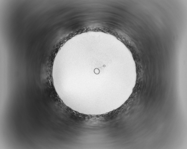 X0000094770824200711301524