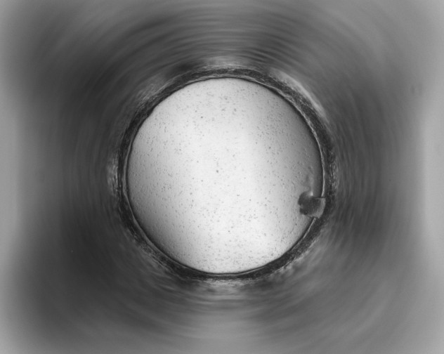 X0000094770825200711301524