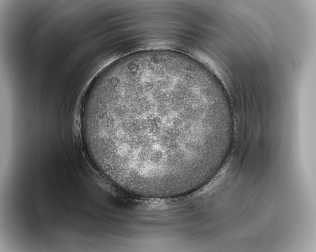 X0000094770827200711301524