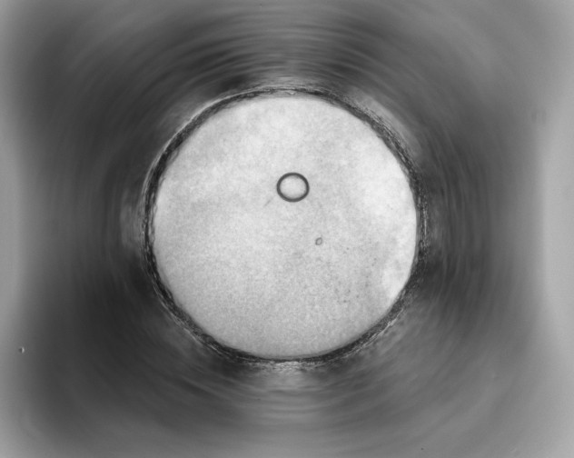 X0000094770828200711301524