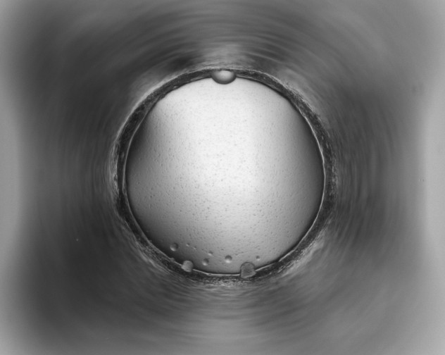 X0000094770830200711301524