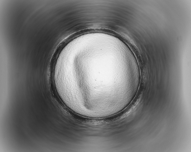 X0000094770831200711301524