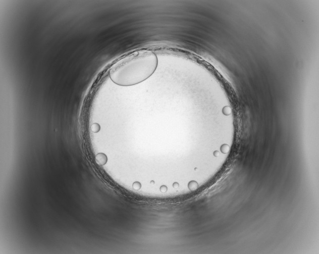 X0000094770832200711301524