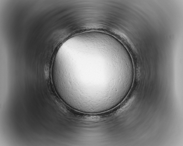 X0000094770833200711301524