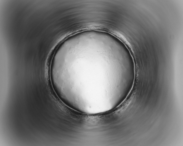 X0000094770835200711301524