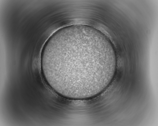 X0000094770836200711301524