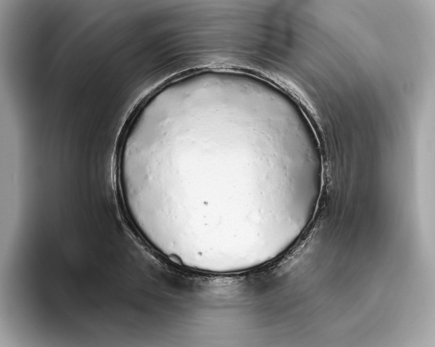 X0000094770839200711301524